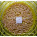 Frozen Red Shrimp Best Quality Frozen Seafood Crystal Red Shrimp For Wholesale Shrimp Supplier